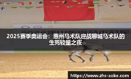 2025赛季奥运会：惠州马术队迎战聊城马术队的生死较量之夜